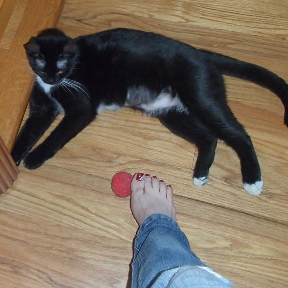 Share My Items And I Will Share Yours - Picture 2 of 7